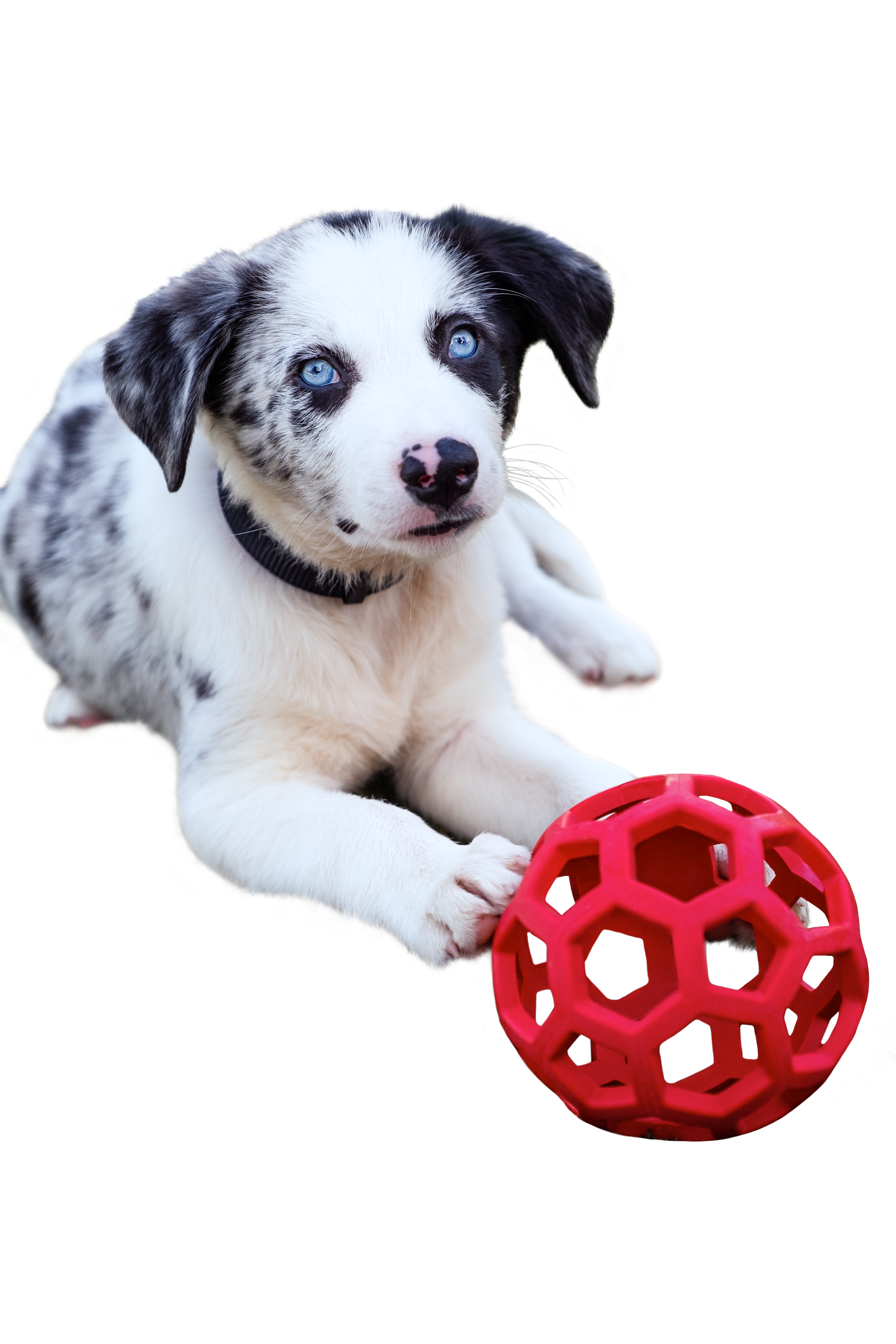 _DSF0916-retouched+mask