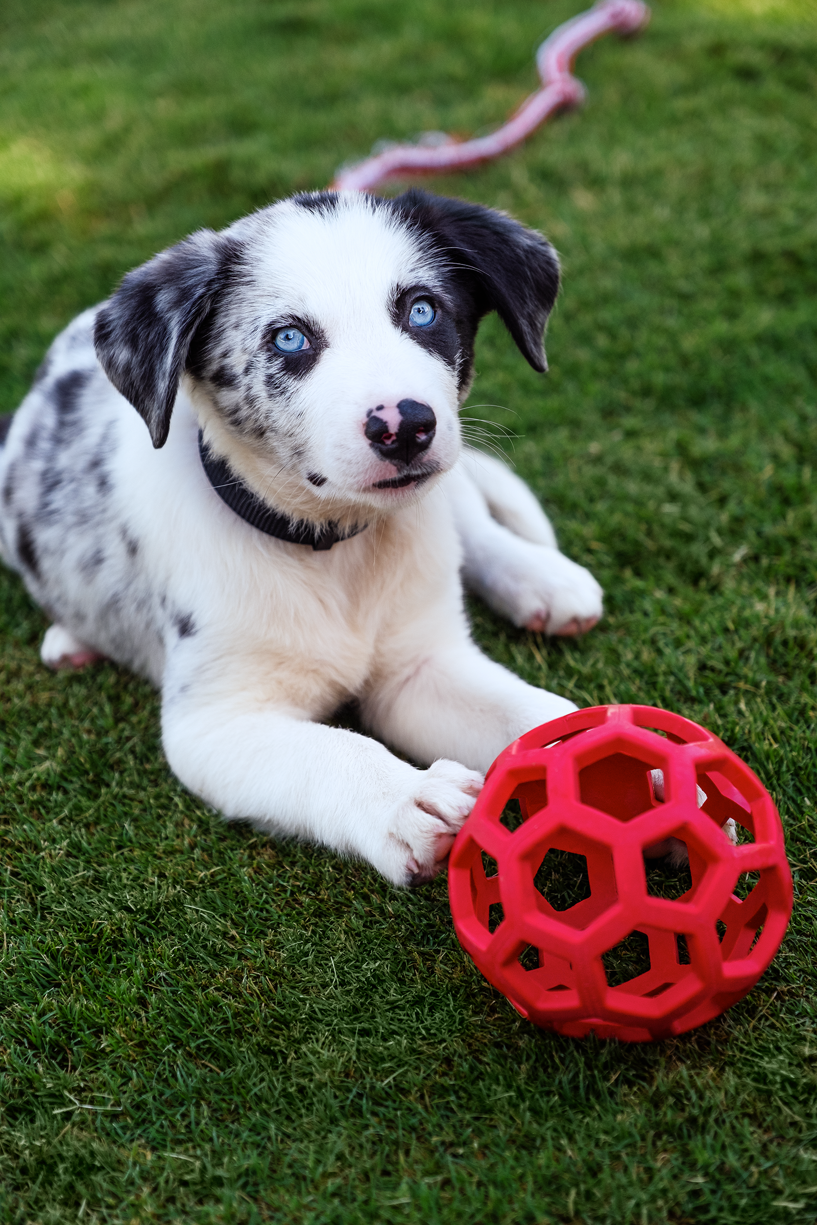 _DSF0916-retouched+mask