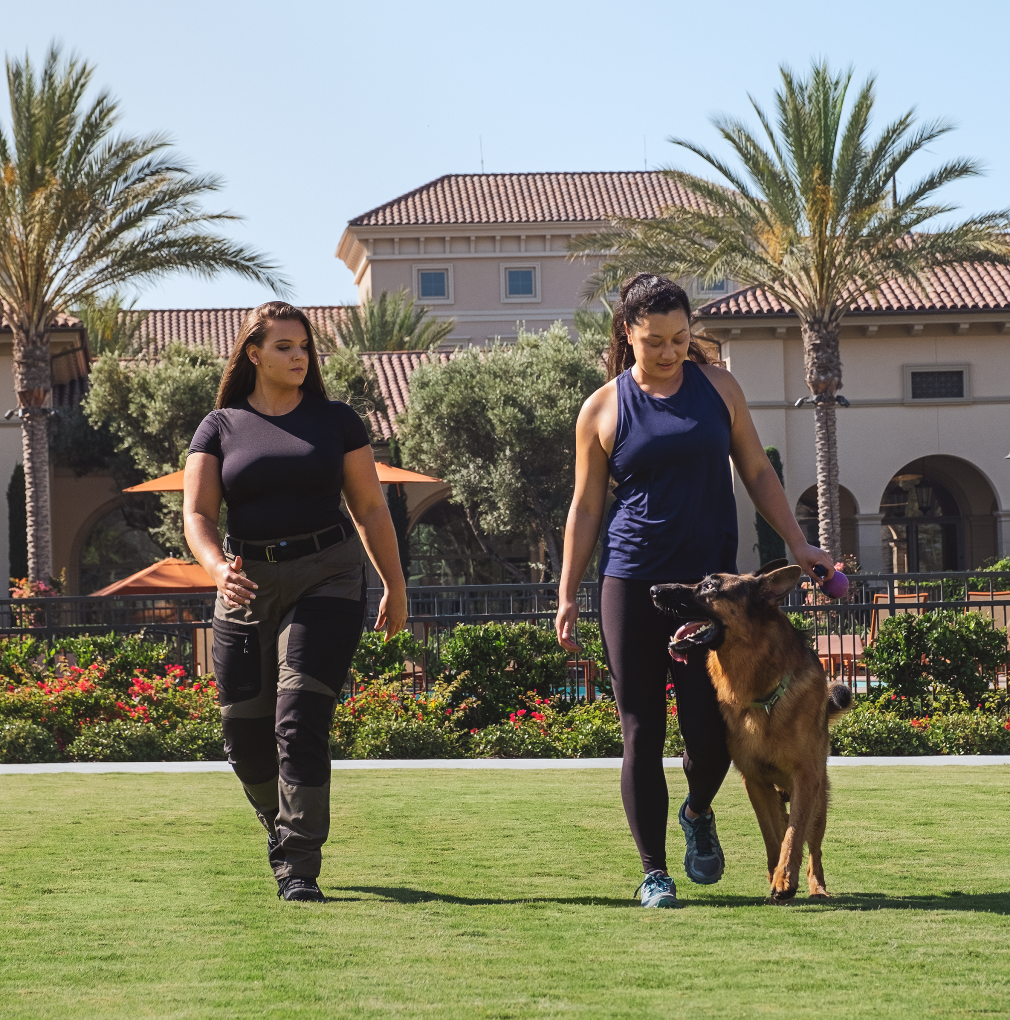 DSF0790-retouched_crop